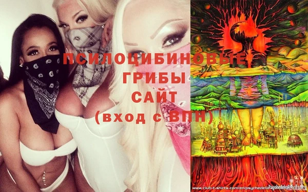 MDMA Бородино