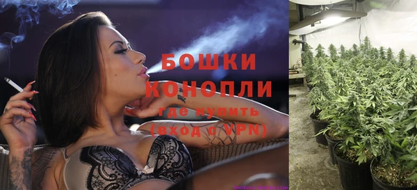 шишки Ельня