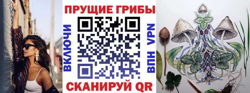 Галлюциногенные грибы MAGIC MUSHROOMS  купить закладку  omg зеркало  Каменск-Шахтинский 